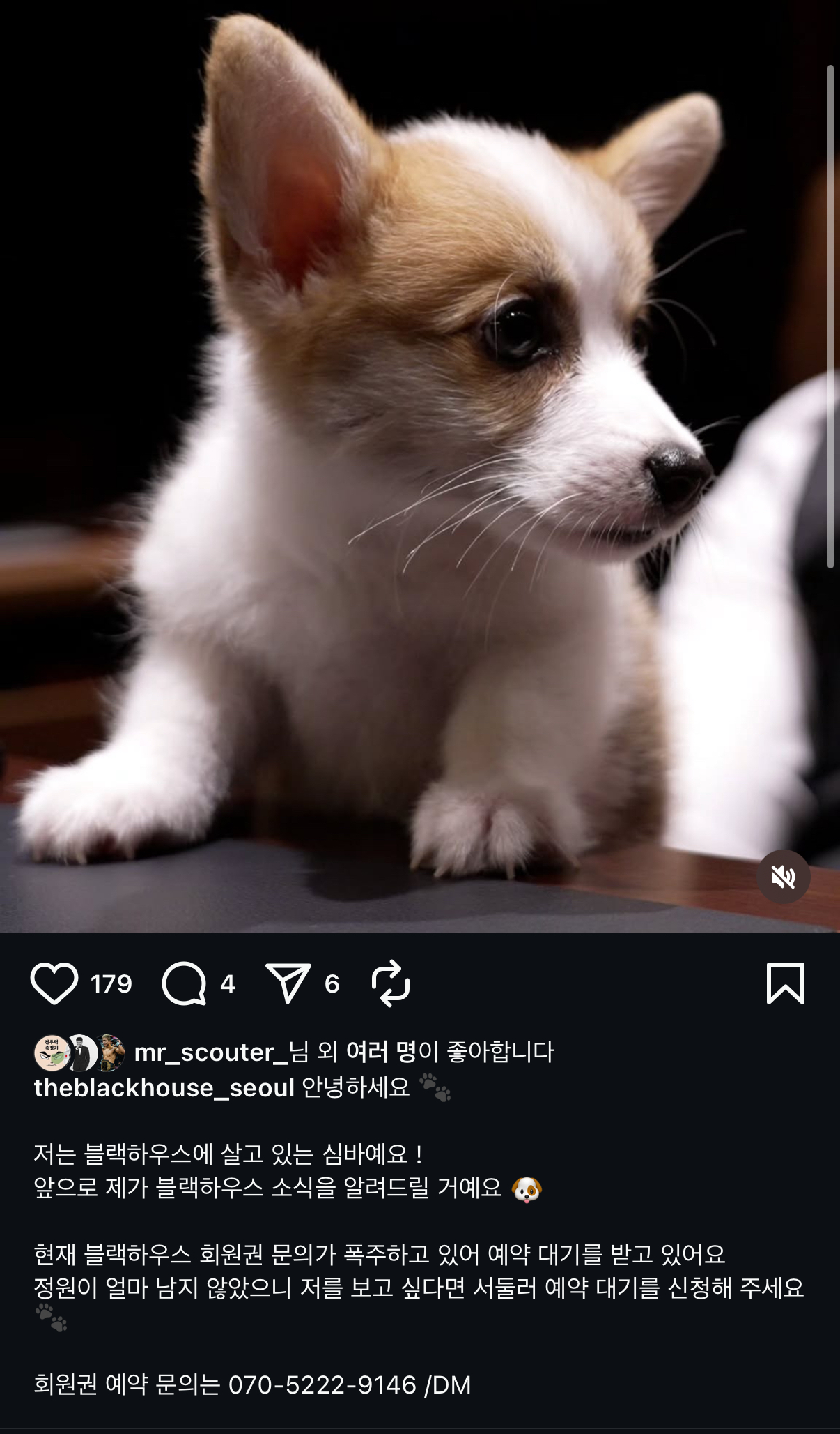 업로드된 이미지