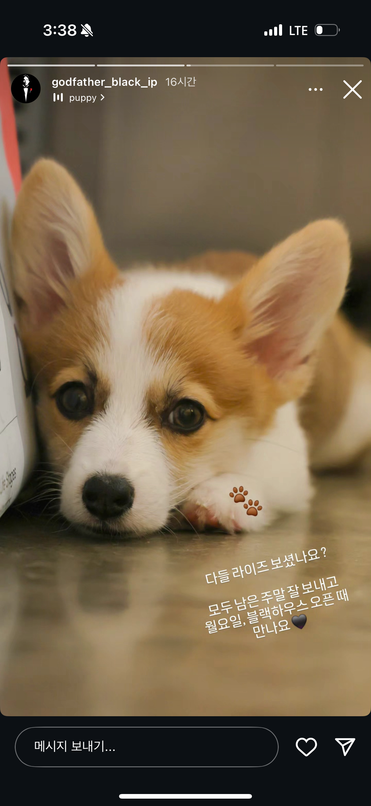 업로드된 이미지