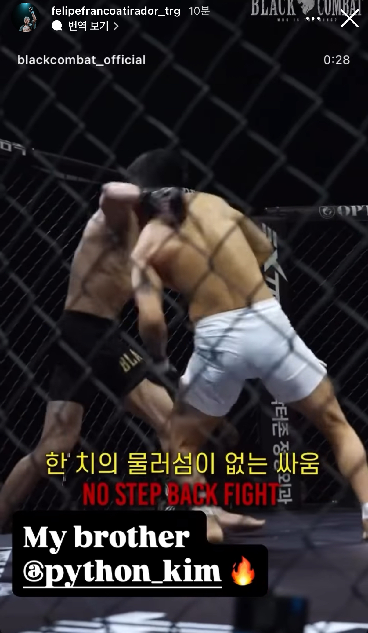 업로드된 이미지